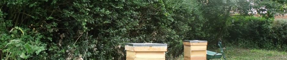 Improved apiary