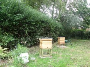 Improved apiary