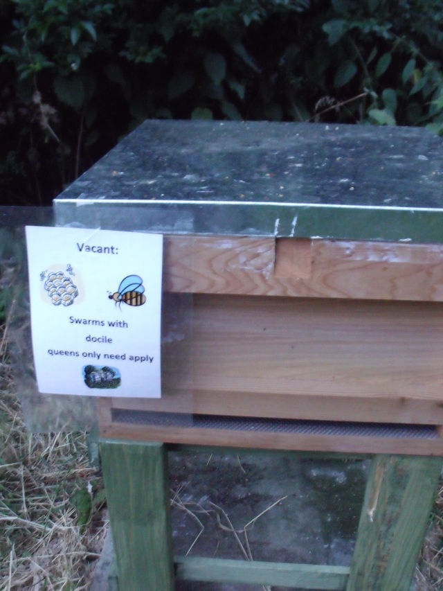 New hive with notice 'vacant possession' docile bees only