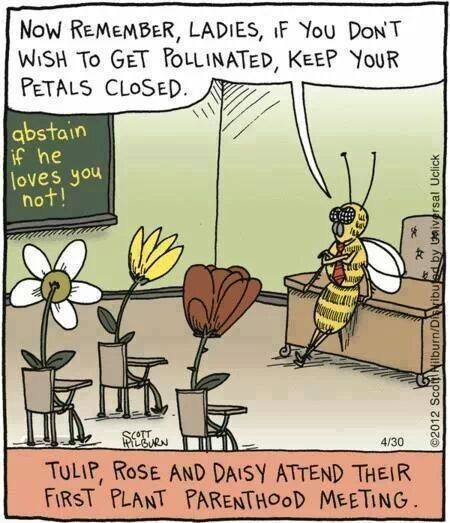 Bee humour